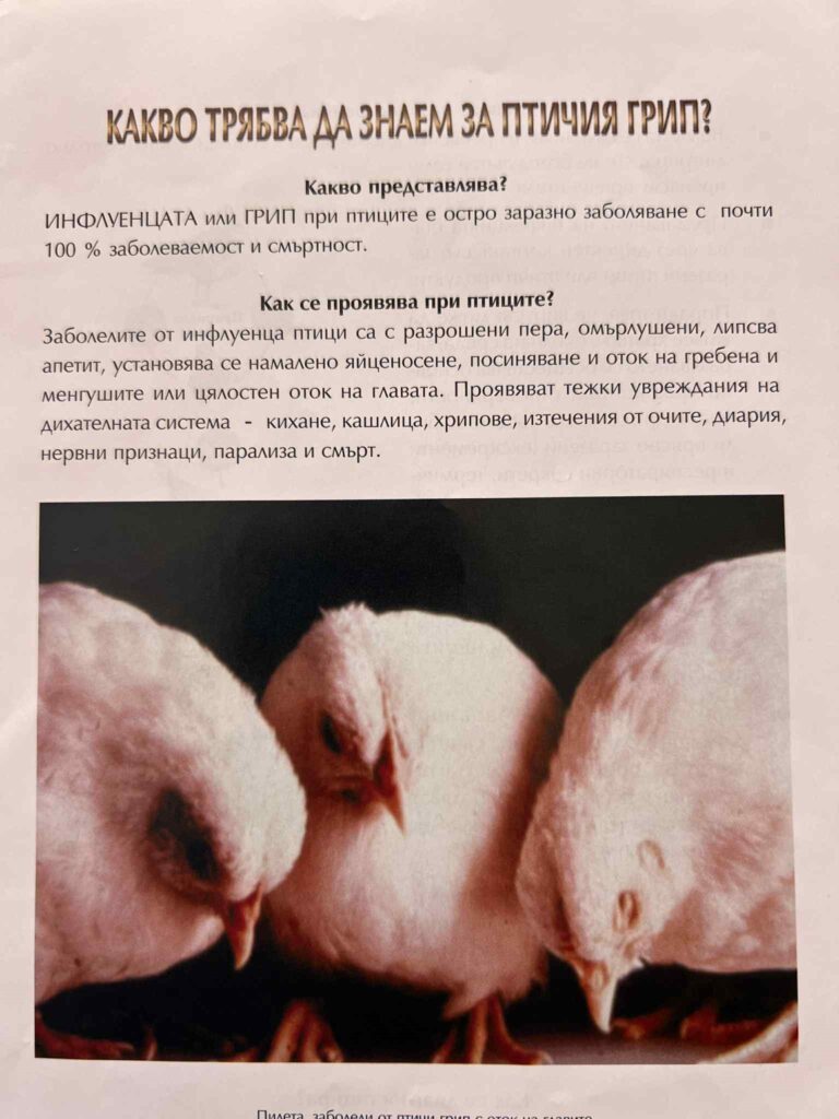 Инфлуенца по птиците-Как да държим птичия грип далеч