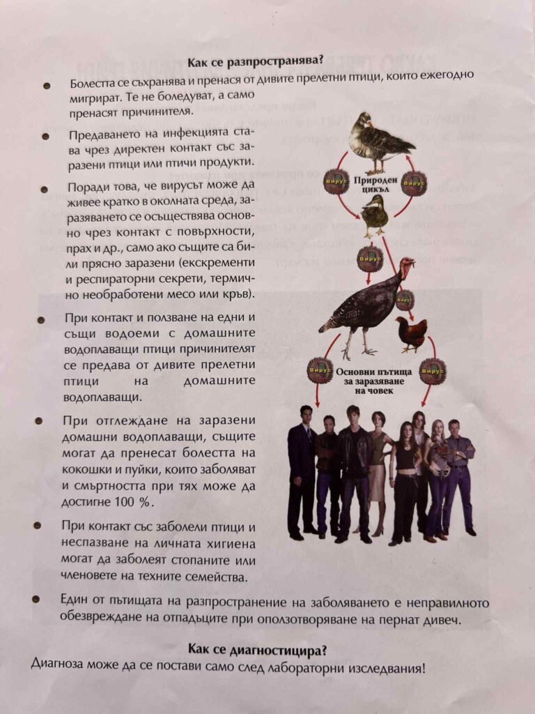 Инфлуенца по птиците-Как да държим птичия грип далеч