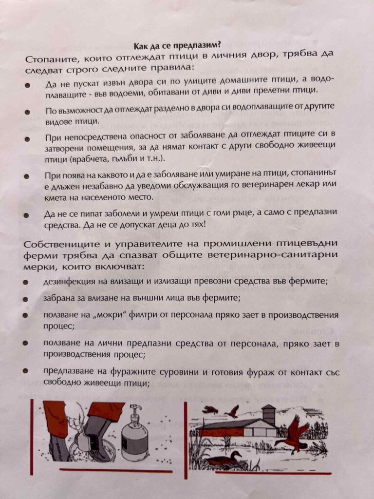 Инфлуенца по птиците-Как да държим птичия грип далеч