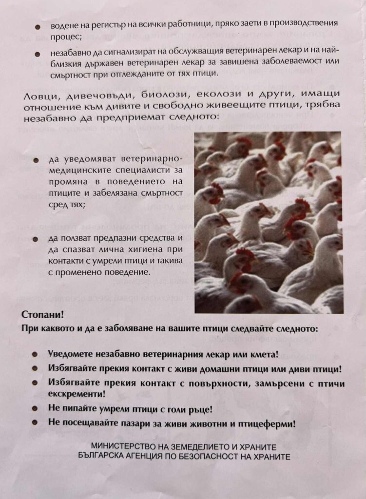 Инфлуенца по птиците-Как да държим птичия грип далеч